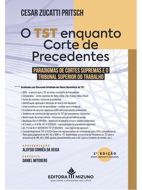 O Tst Enquanto Corte de Precedentes - 2025