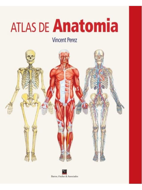 Atlas de Anatomia