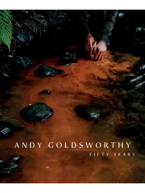 Capa do livro Andy Goldsworthy de Andy Goldsworthy