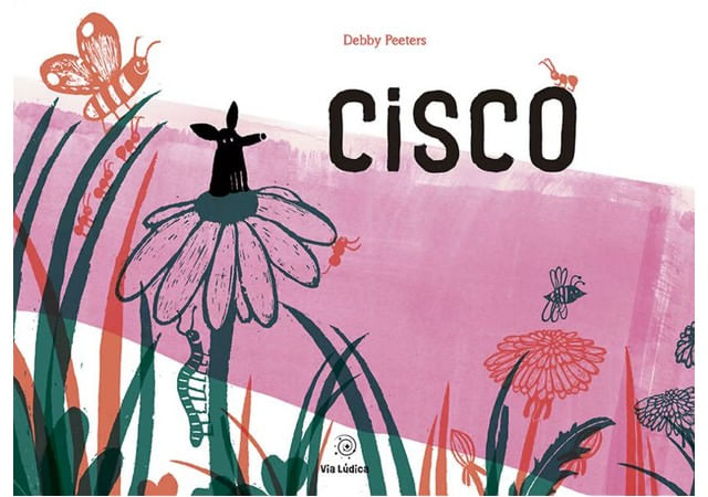 Capa do livro Cisco de Debby Peeters