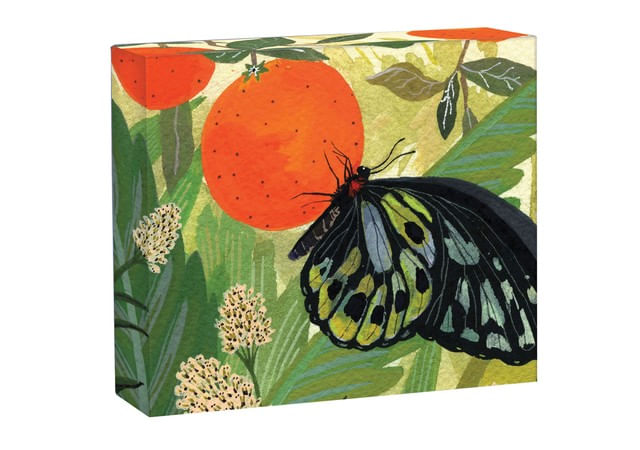 Capa do livro Butterflies Quicknotes de Becca Stadtlander