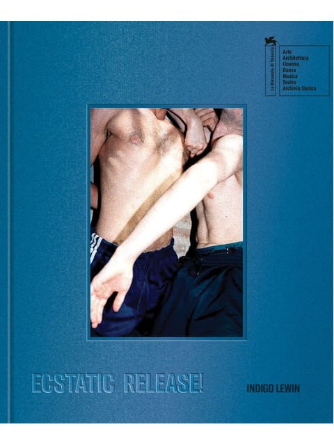 Capa do livro Ecstatic Release!