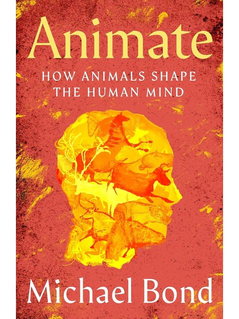 Capa de Animate