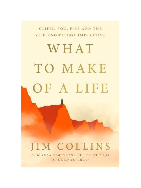 What To Make Of a Life