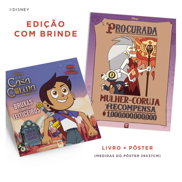 Capa do livro A Casa Coruja: Bruxas Contra Feiticeiros de Steve Behling