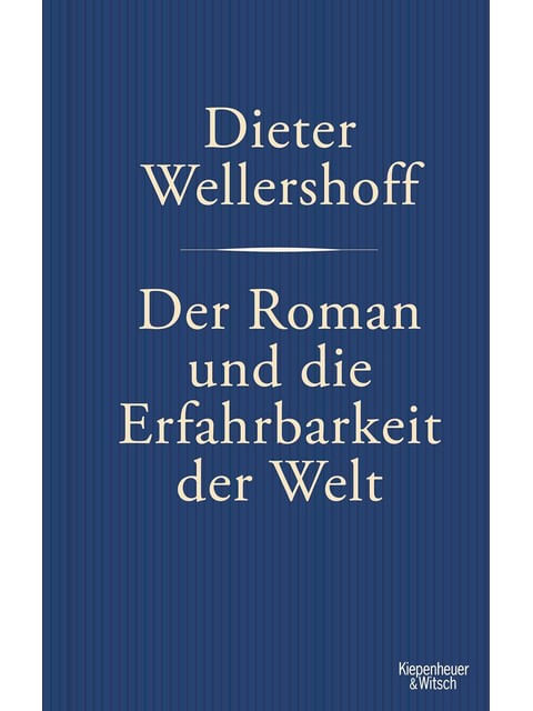 Capa de Der Roman Und Die Erfahrbarkeit Der Welt