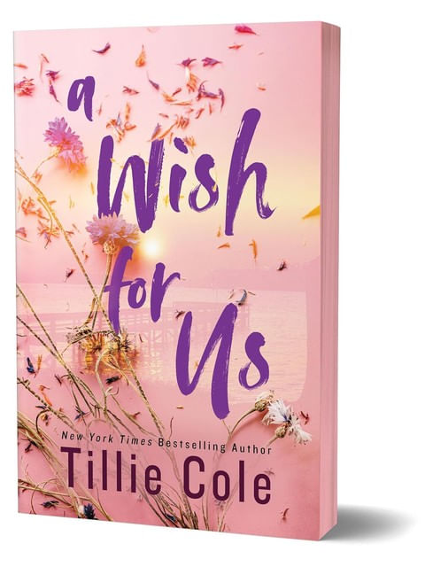 Capa do livro A Wish For Us de Tillie Cole
