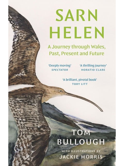 Capa do livro Sarn Helen de Tom Bullough
