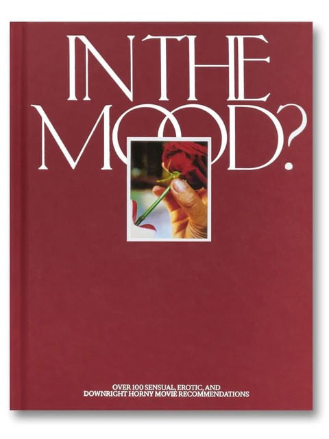 Capa do livro In The Mood? de A24