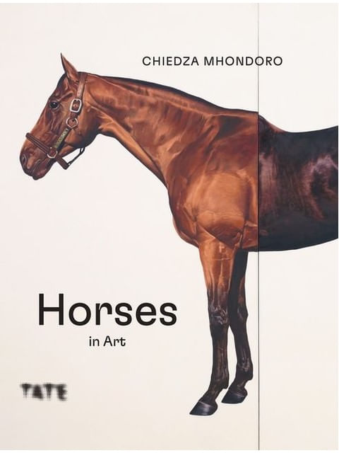Capa do livro Horses In Art de Chiedza Mhondoro