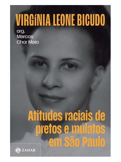 Virginia Leone Bicudo
