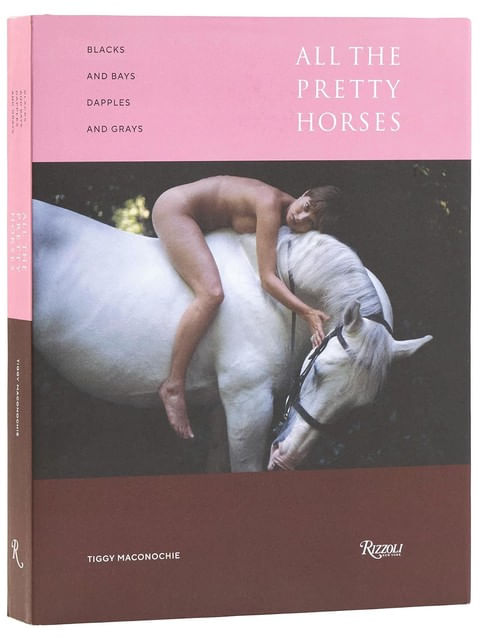 Capa do livro Blacks And Bays, Dapples And Greys de Tiggy Maconochie